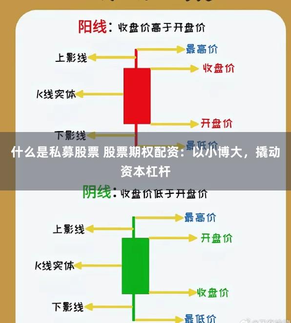 什么是私募股票 股票期权配资：以小博大，撬动资本杠杆