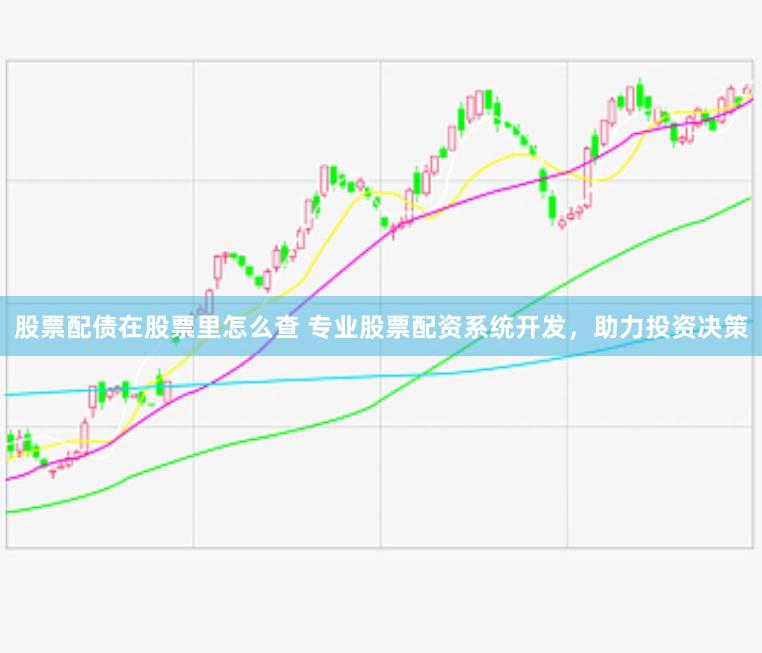 股票配债在股票里怎么查 专业股票配资系统开发，助力投资决策