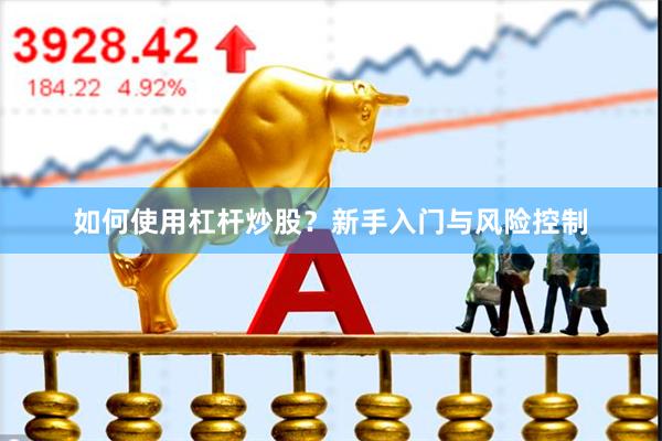 如何使用杠杆炒股？新手入门与风险控制